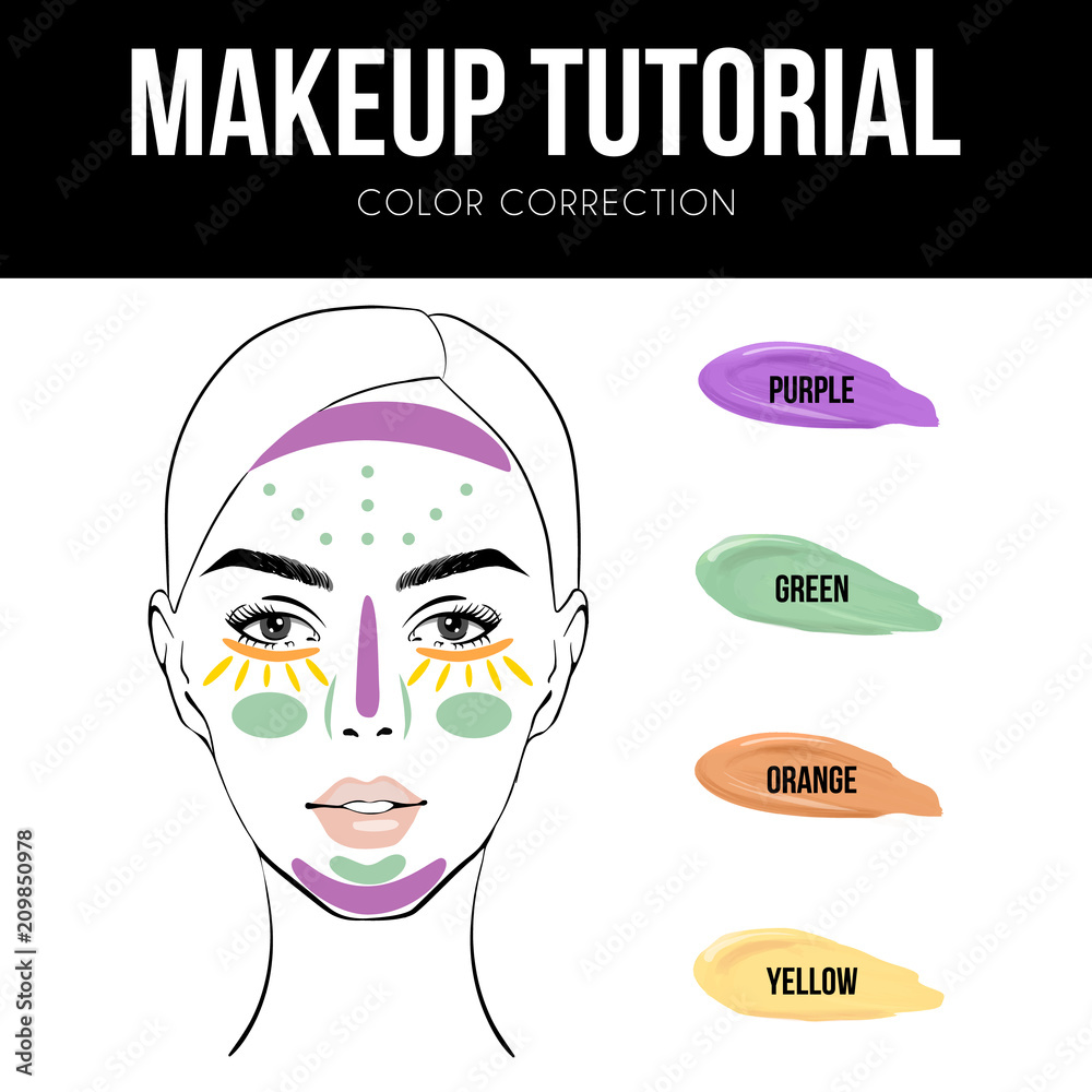 Makeup tutorial: How To Use Color Correcting Concealer. Vector Illustration  of woman face chart and Color Shades Palette For Corrector Make Up. Color- Correction Tutorial Isolated On White Background. Stock Vector | Adobe