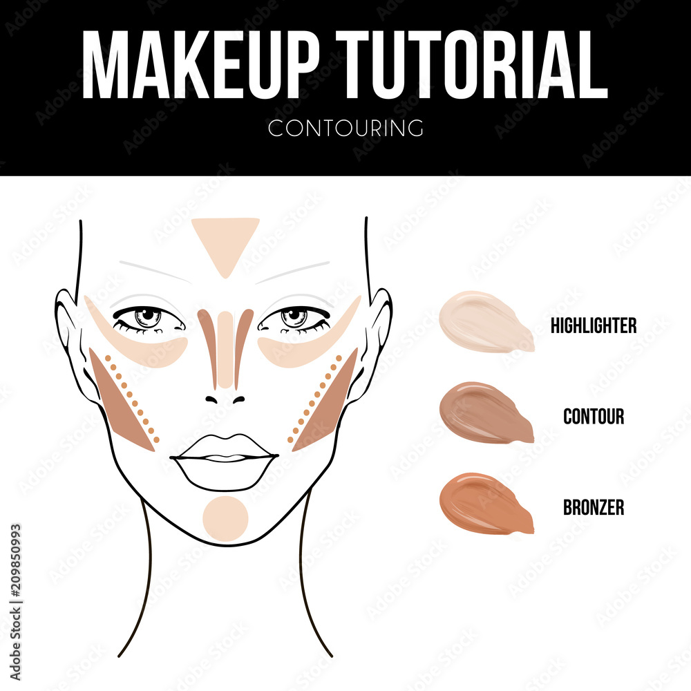 Makeup tutorial Contouring. Contour and highlight, bronze and contour makeup.  Makeup woman face chart on white background. Professional face make-up  sample. Stock Vector | Adobe Stock