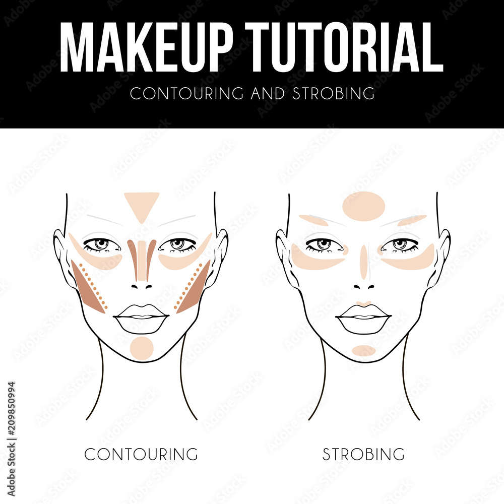 Contouring guide tutorial. Makeup Template of female face chart. Vector illustration of pretty young woman. Strobing, Highlighting Contouring technique. Professional make up chart. Stock Vector | Adobe Stock