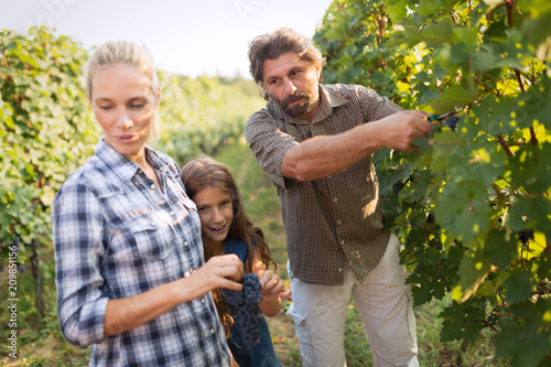 Wine grower family together in vineyard