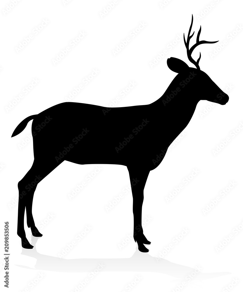Fototapeta premium Deer Animal Silhouette