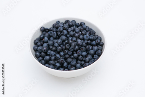 a cup full of fresh blueberryes from forrest