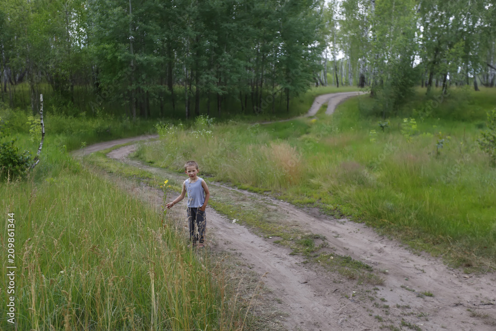 Little boy on a forest road on a summer day