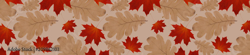 panorama autumn pattern from  oak leaves and dry red maple leaves