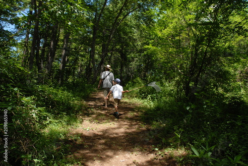 夏の冒険 森 歩く 2人 子供 大人 後ろ姿 山 道 林 夏休み 季節 探検 昆虫採集 自然遊び 自然 こども