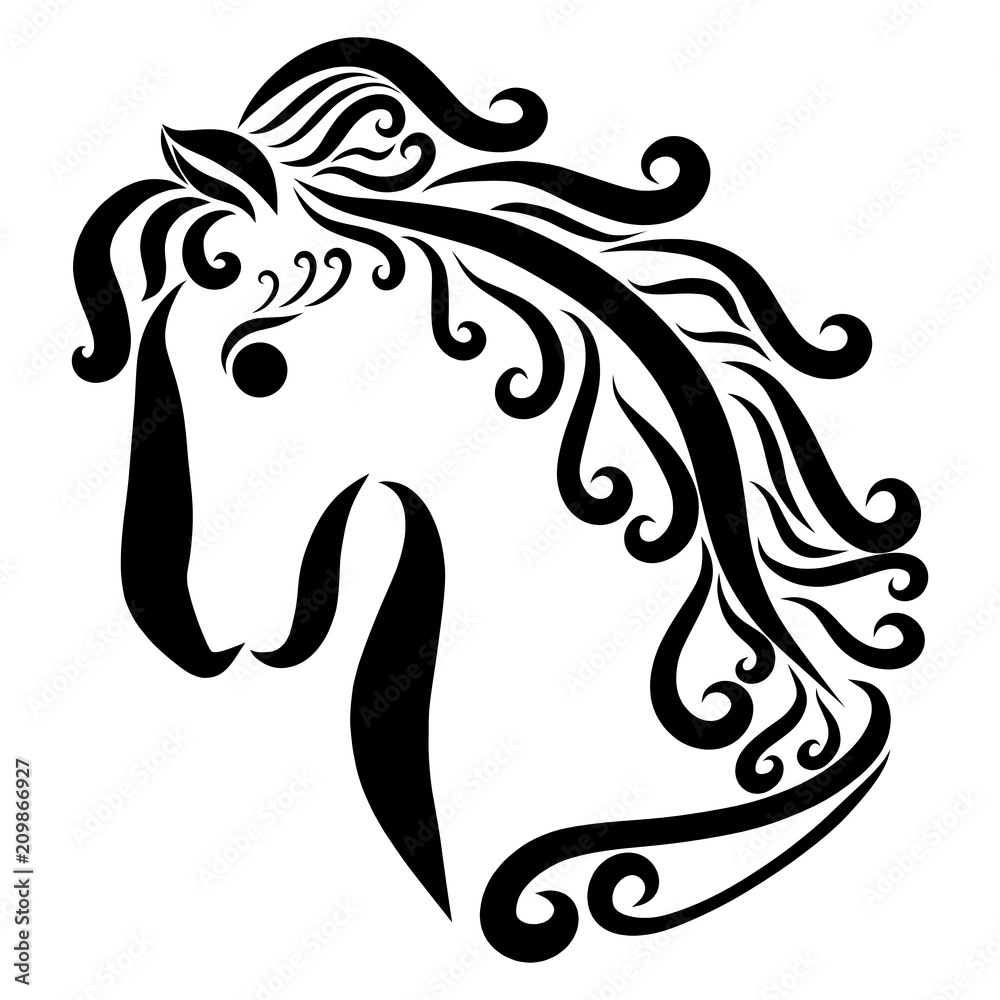 Beautiful horse with a curving mane, profile, black curls Beautiful horse with a curving mane, profile, black curls