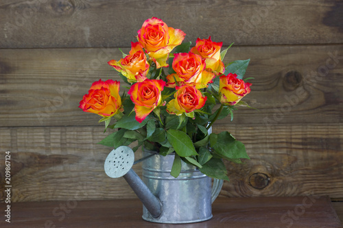 orange roses in a watering can on wooden background