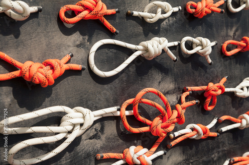 Photography Many types of knots demonstrated on a learning display