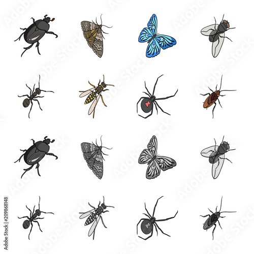 An insect arthropod, an osa, a spider, a cockroach. Insects set collection icons in cartoon,monochrome style vector symbol stock isometric illustration web.