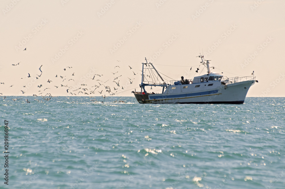 Fototapeta premium Fishing boat followed by seagulls