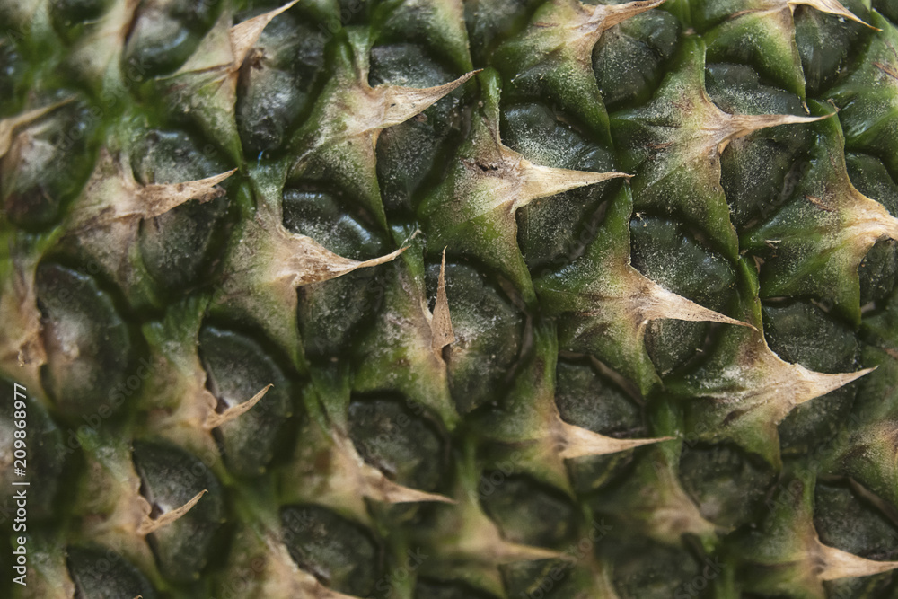 Green Pineapple Natural Texture Green Pineapple Natural Texture