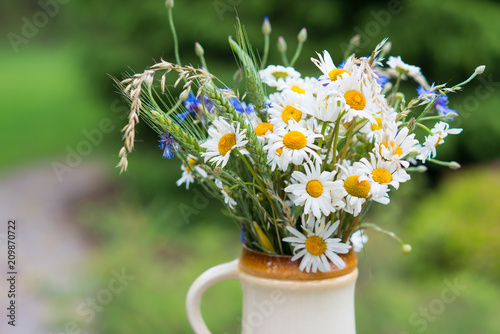 Midsummer in Latvia: celebration of Ligo in june decorating home with field flower bouquet