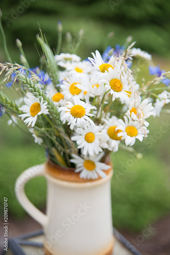 Midsummer in Latvia: celebration of Ligo in june decorating home with field flower bouquet