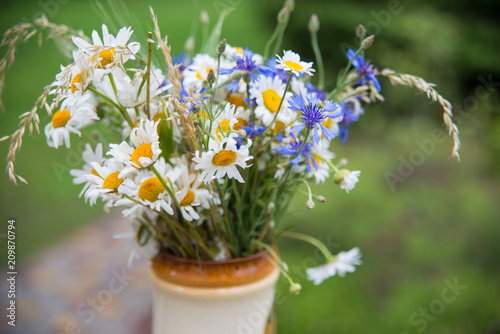 Midsummer in Latvia: celebration of Ligo in june decorating home with field flower bouquet