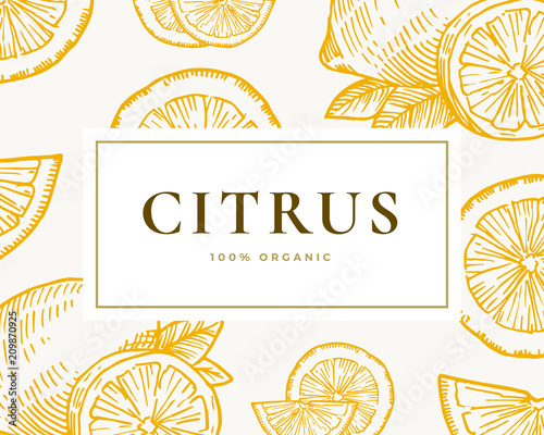 Hand Drawn Citrus Illustration Card. Abstract Vector Lemon and Orange Sketch Background with Classy Retro Typography.