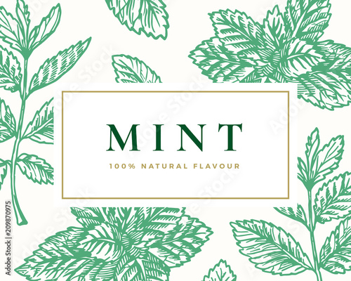 Hand Drawn Mint Illustration Card. Abstract Vector Mint Branches and Leaves Sketch Background with Classy Retro Typography.