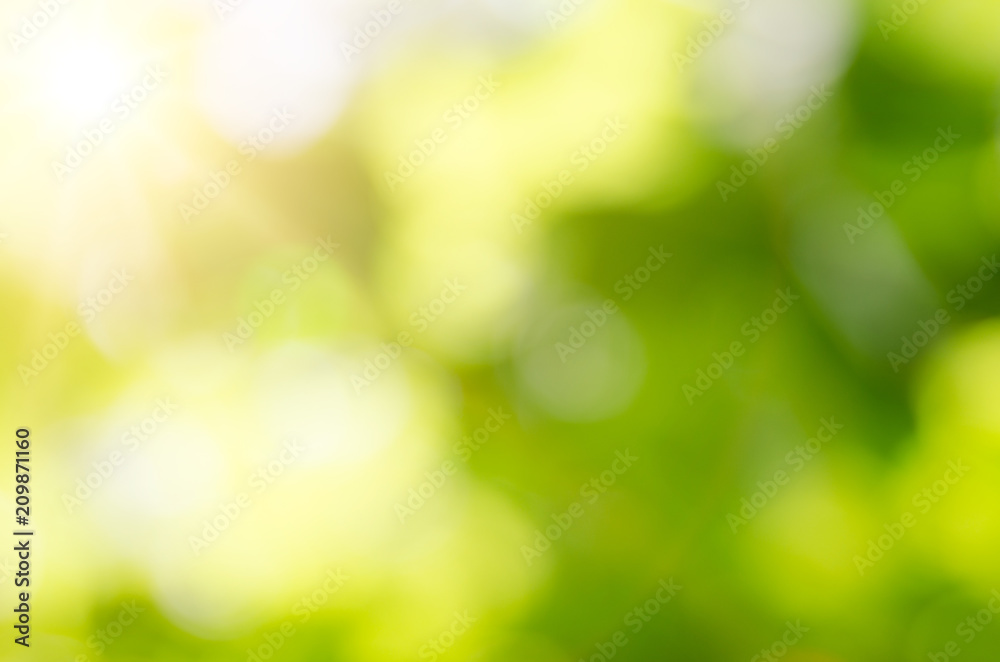 Nature green blur background, bokeh effect, defocused image Nature green blur background, bokeh effect, defocused image
