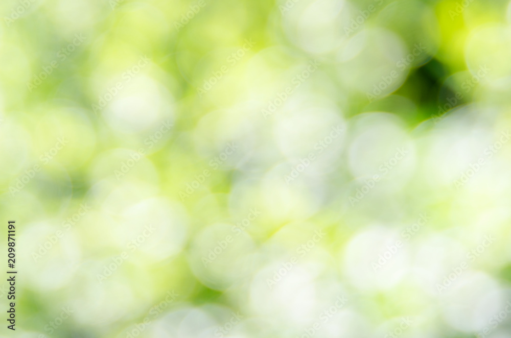 Obraz premium Nature green blur background, bokeh effect, defocused image
