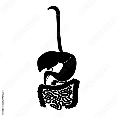 Digestive system icon black color illustration flat style simple image