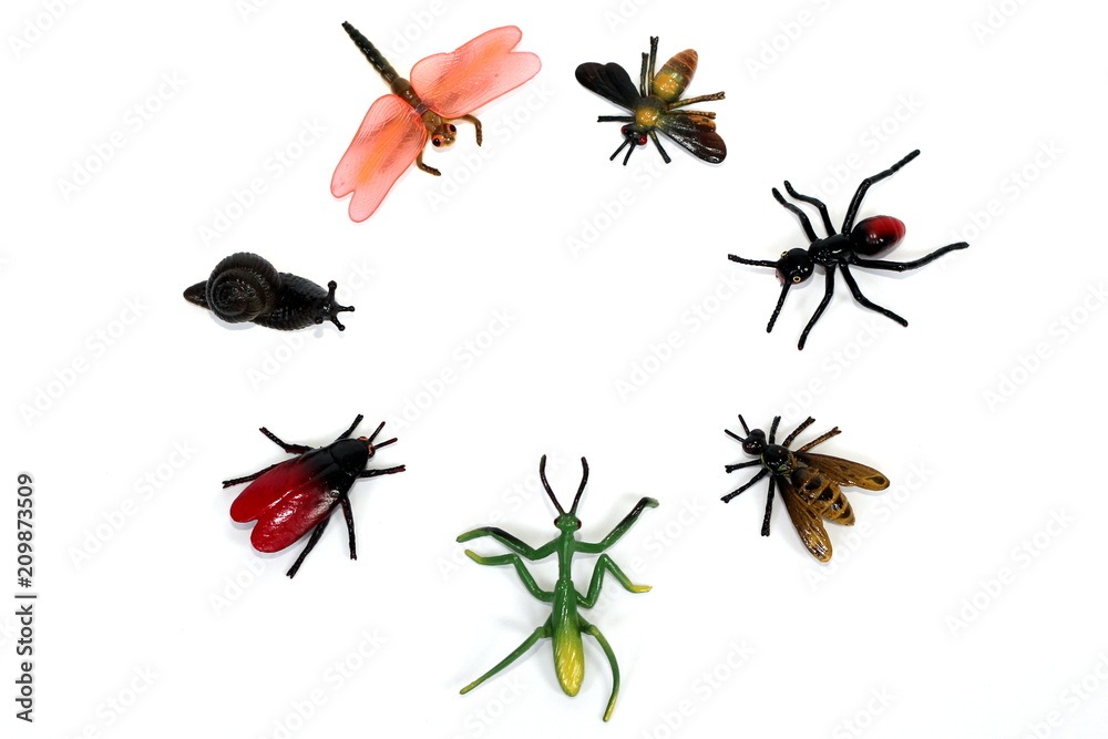 A circle of plastic toy bugs / minibeasts