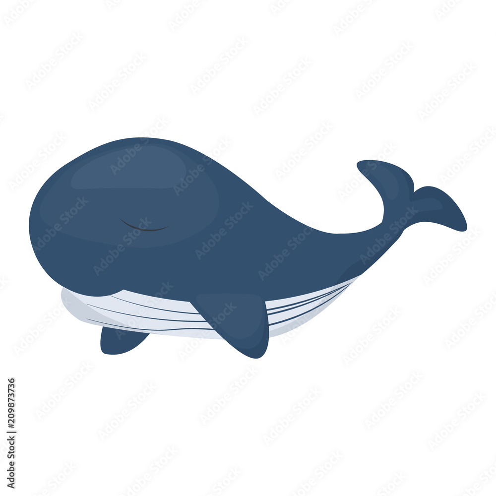 Humpback whale character isolated white background. Sea marine mammal ocean nature water animal vector illustration. Humpback whale character isolated white background. Sea marine mammal ocean nature water animal vector illustration.