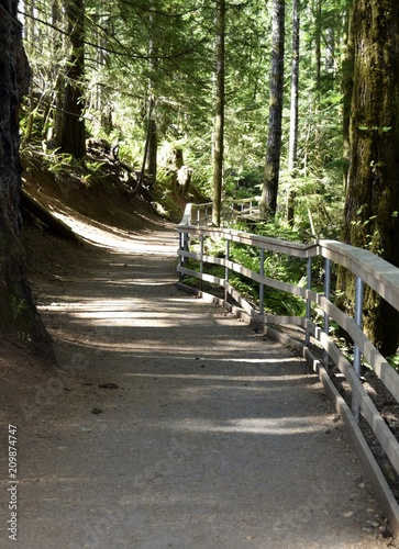 landscape at the Millennium trail near Elk Falls, Campbell River Vancouver Island British Columbia, Canada