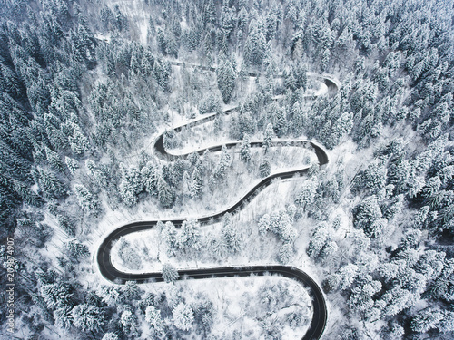 Winding road trough the forest in the winter