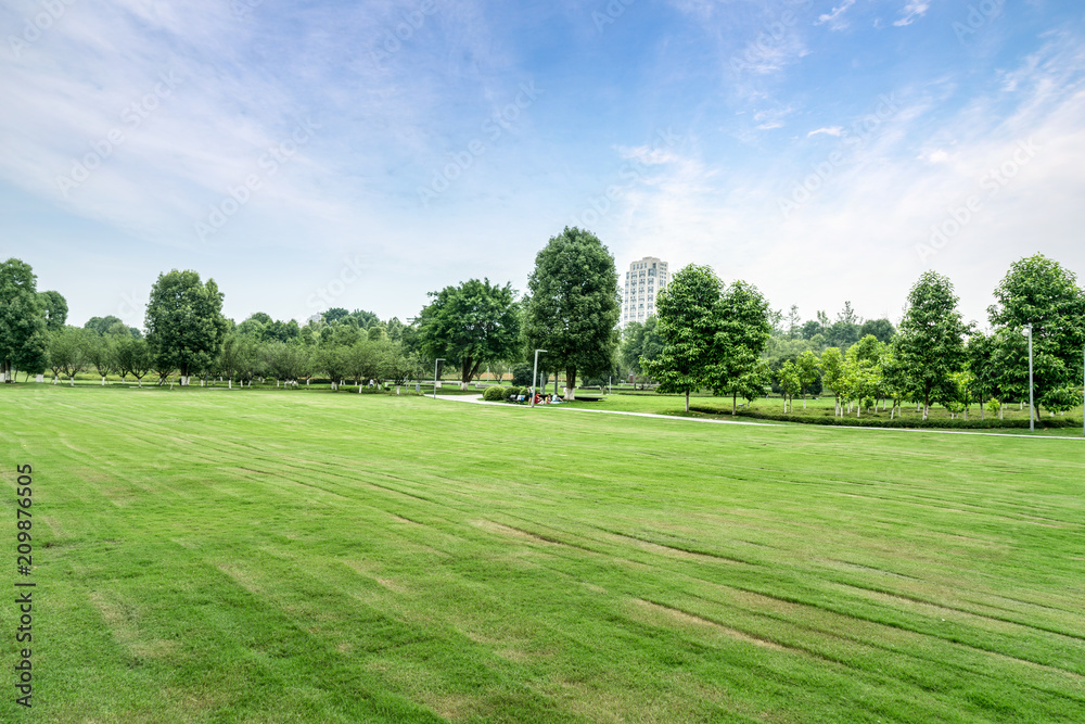 Green lawn in urban public park