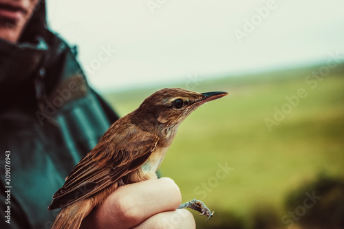 Caught a bird in his hand. photo