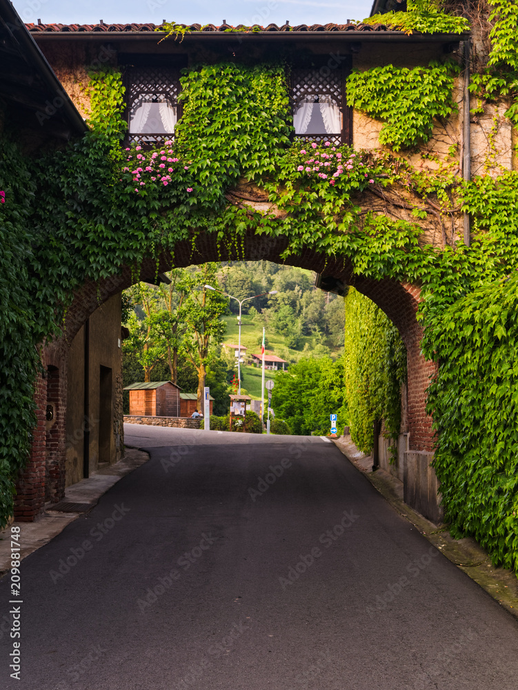 Fototapeta premium Biella, Italy, June 10, 2018 - Old house, walls covered with ivy and arch connecting the second part of the house with road below, Italy
