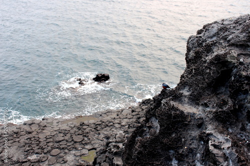 Jusangjeolli is a cliff made of basaltic columnar jointings at Jisatgae coast and one of the most famous photo