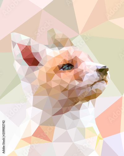 Low Poly Fuchs