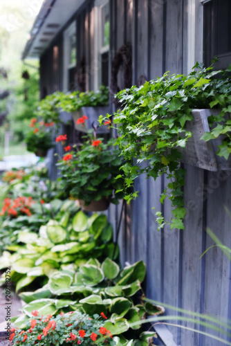 Window Boxes on Bungalow