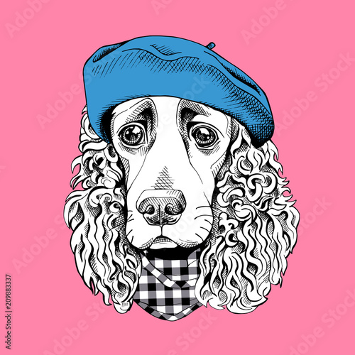 Portrait of a Spaniel dog in a blue cap and checkered cravat on a pink background. Vector illustration.