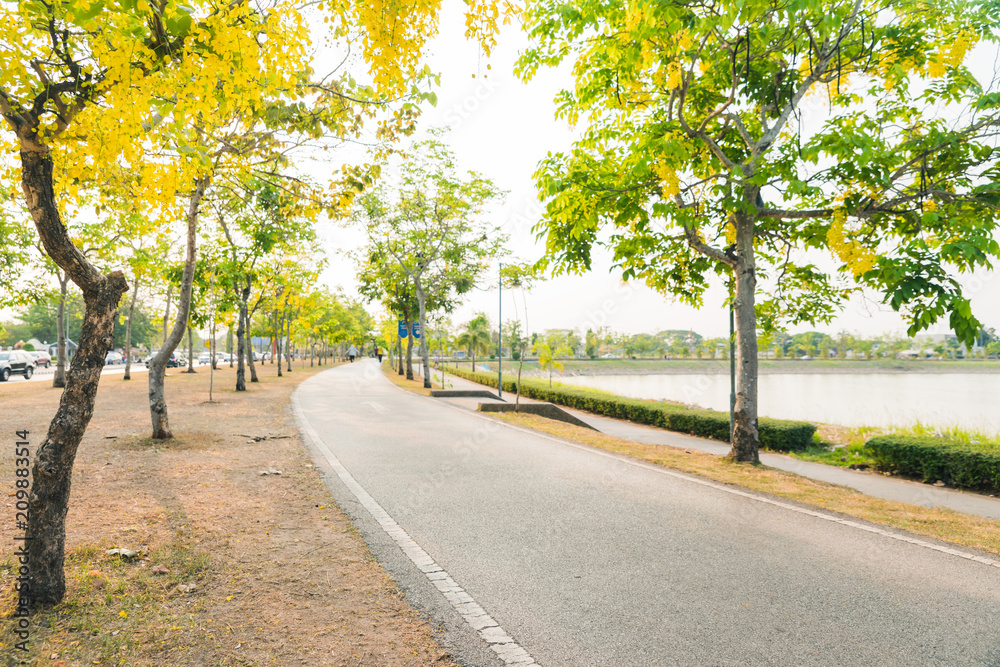 Jogging track for exercise at the replubbic park with beautiful cassaia fistua blooming Jogging track for exercise at the replubbic park with beautiful cassaia fistua blooming