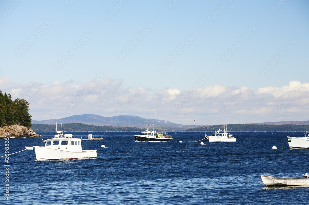 The Gulf of the Atlantic Ocean and small islands, many boats in the water. The coast of the Atlantic Ocean. USA. Maine  Bar Harbor,
