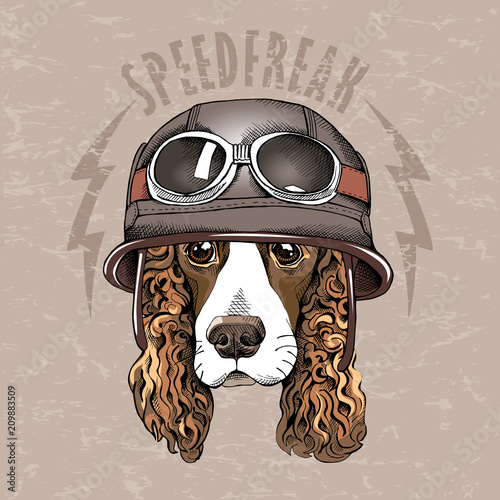 Portrait of a Spaniel dog in a retro biker Helmet. Vector illustration.