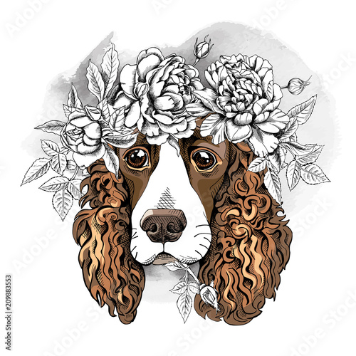 Portrait of a Spaniel dog in a flower head wreath. Vector illustration.