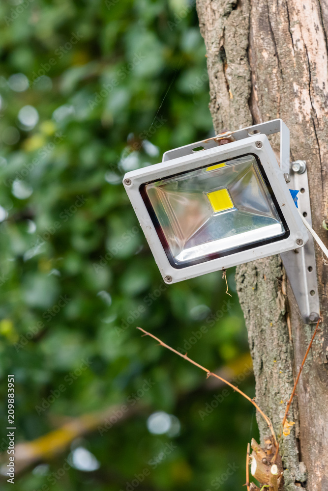 Gray diod spotlight on tree. Lighting equipment