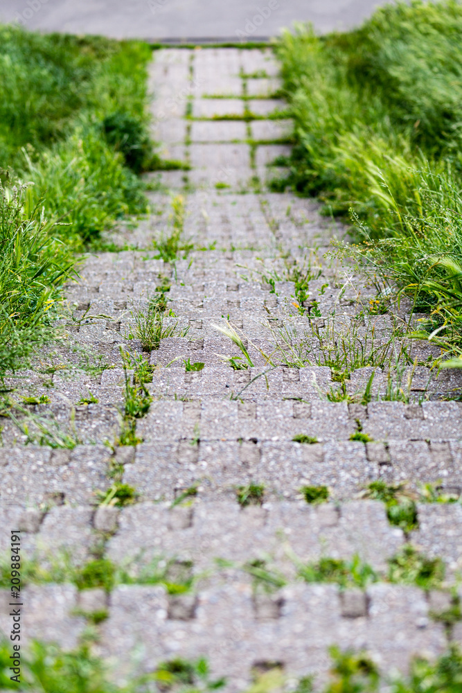 Obraz premium Steps down