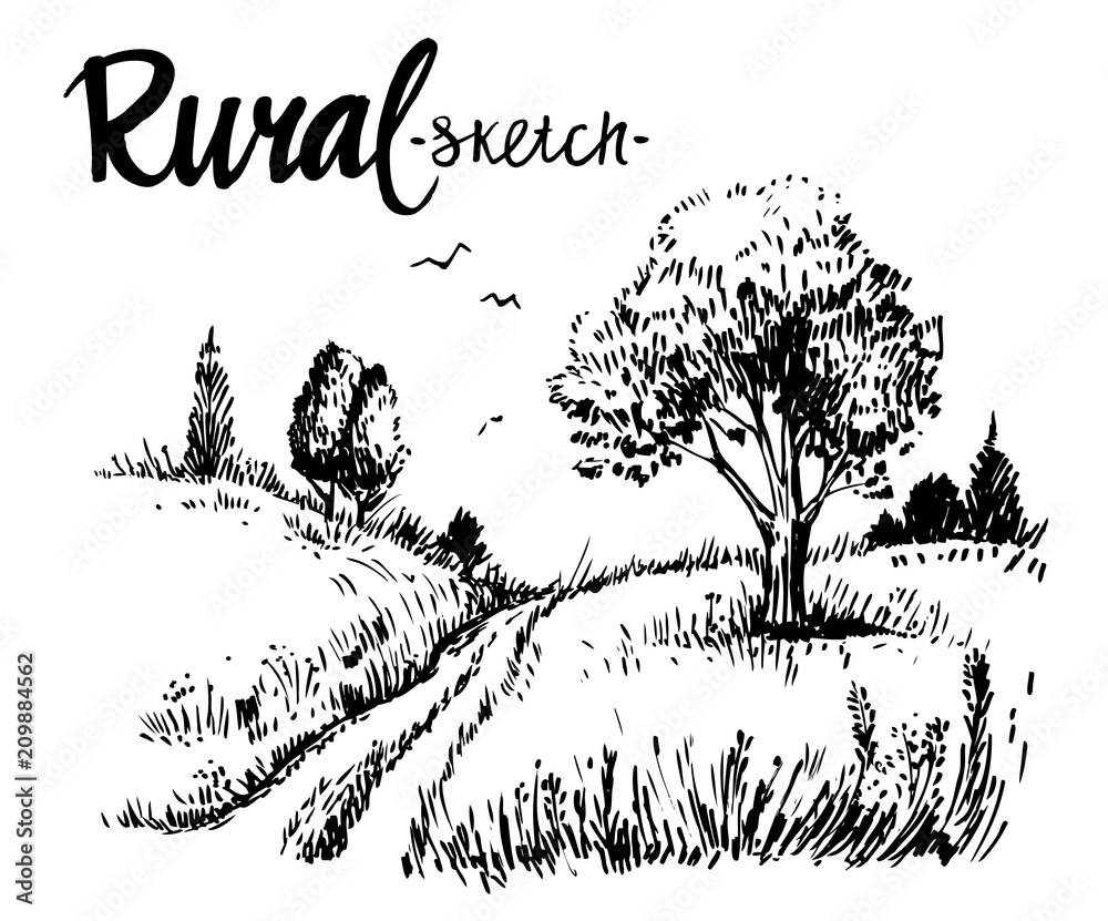 Fototapeta premium Rural landscape road