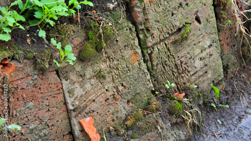 old red brick with moss