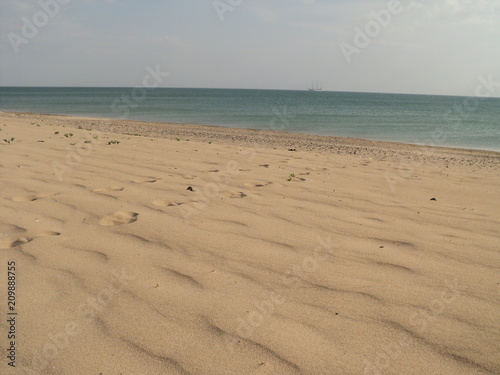 on the beach