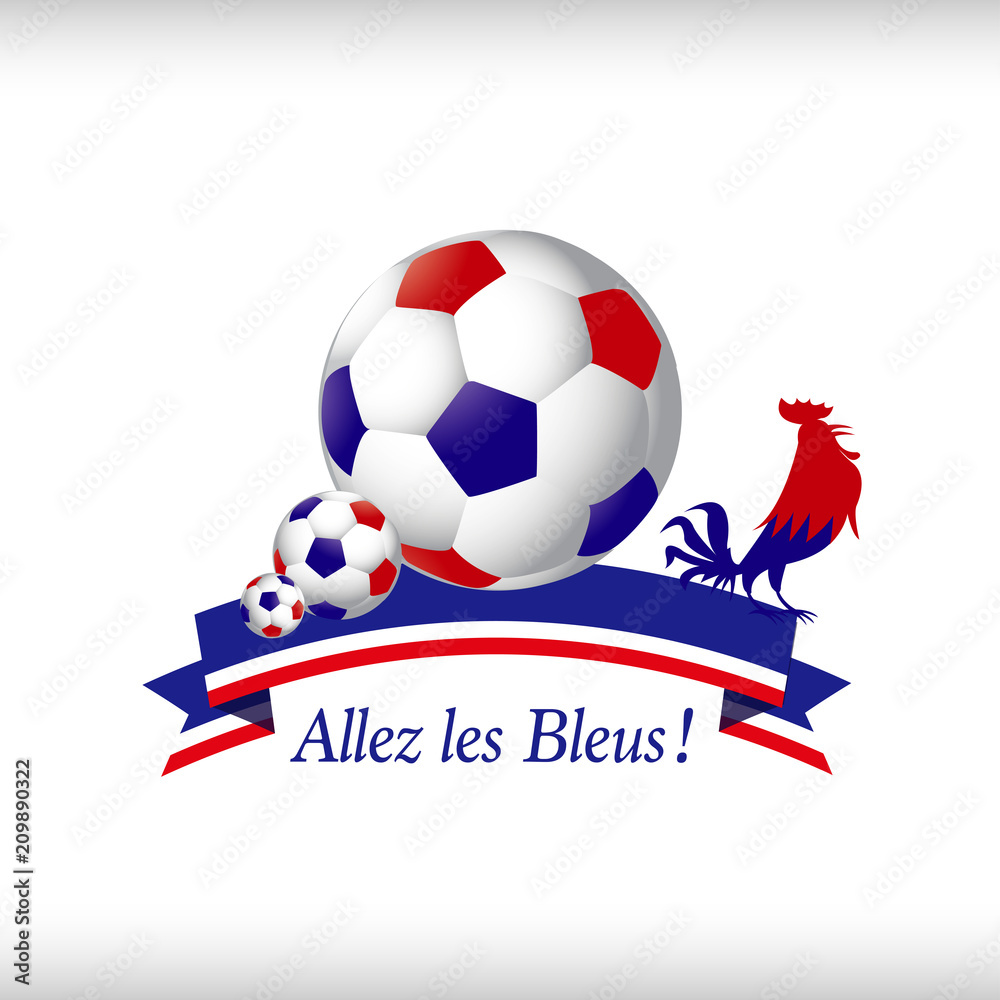 Vecteur Stock Allez les Bleus équipe de France de Football | Adobe Stock