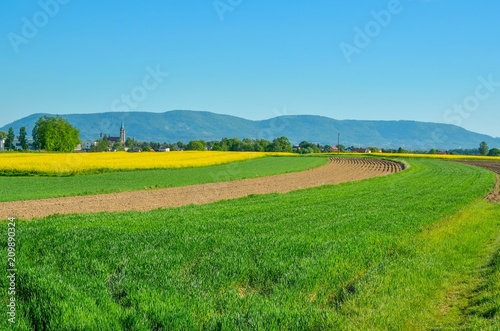Beautiful colorful spring landscape. Colorful meadows in the countryside.