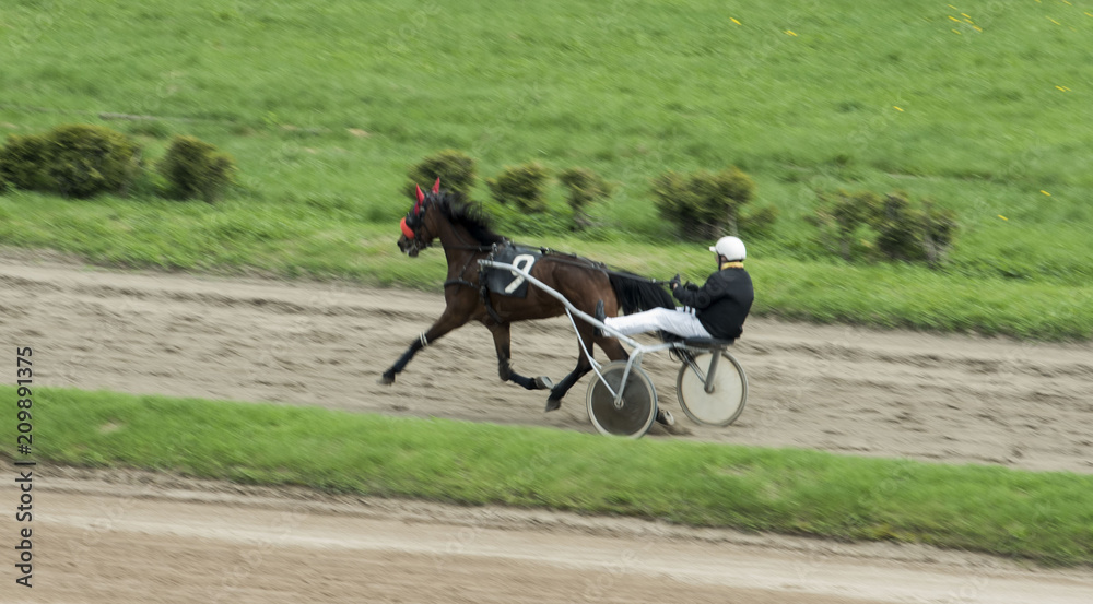 horse racing, horse racing, horses, jockey, horseman, Hippodrome,bets, reins, harness, horse racing, horse racing, horses, jockey, horseman, Hippodrome,bets, reins, harness,