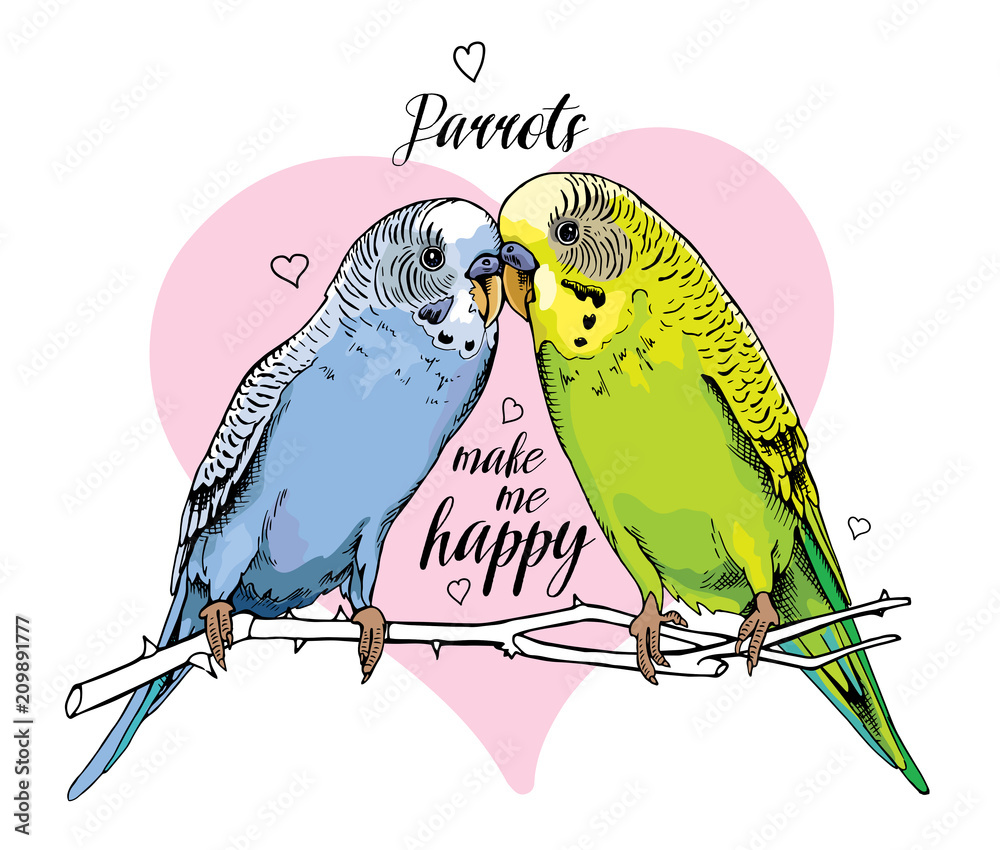 Naklejka premium Dwie piękne małe zielone i niebieskie faliste papugi całują się na różowym tle. Ilustracji wektorowych.