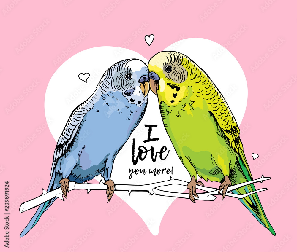 Obraz premium Two Beautiful little green and blue Wavy Parrots kiss on a pink heart background. Vector illustration.