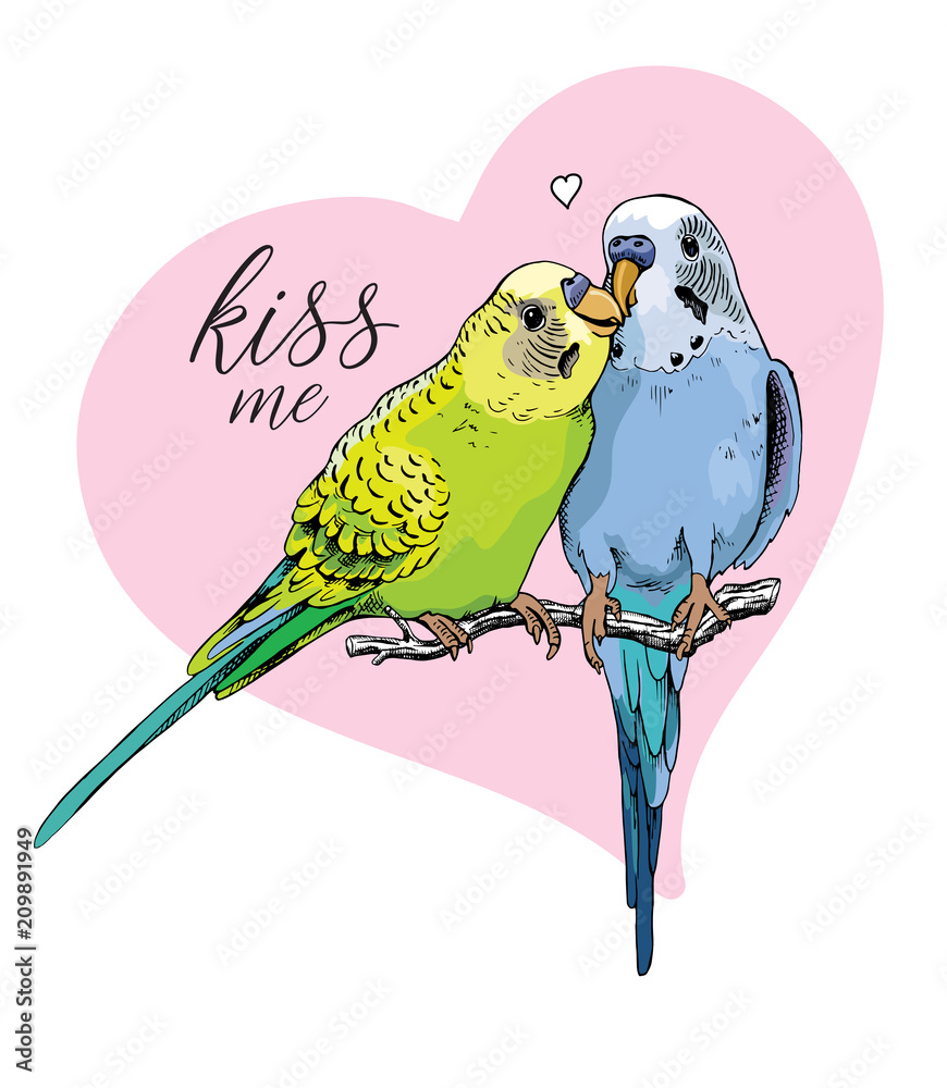 Fototapeta premium Dwie piękne małe zielone i niebieskie faliste papugi całują się na tle różowego serca. Ilustracji wektorowych.