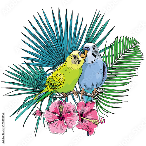 Two Beautiful little green and blue Wavy Parrots kiss on a Tropical leaves and flowers background. Vector illustration.